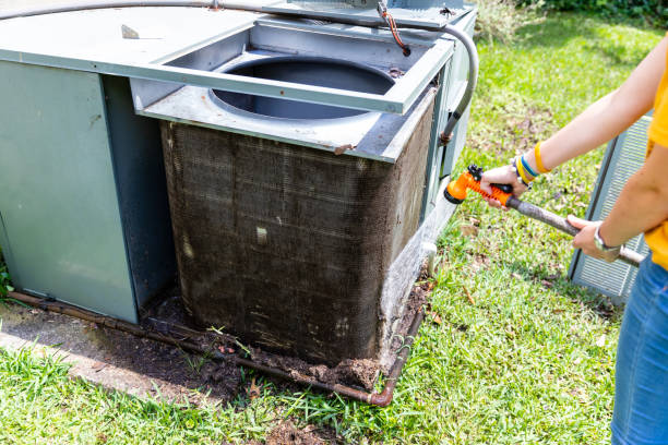 Best Affordable Duct Cleaning Services  in Braselton, GA