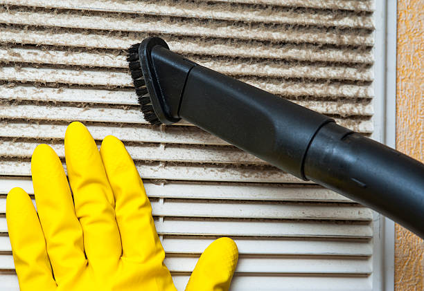 Best Home Air Vent Cleaning  in Braselton, GA